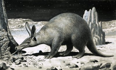  by R.B. Davis