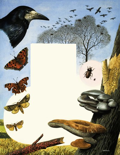  by R.B. Davis