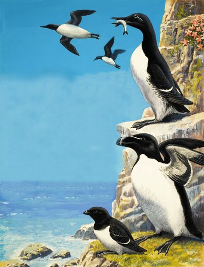  by R.B. Davis