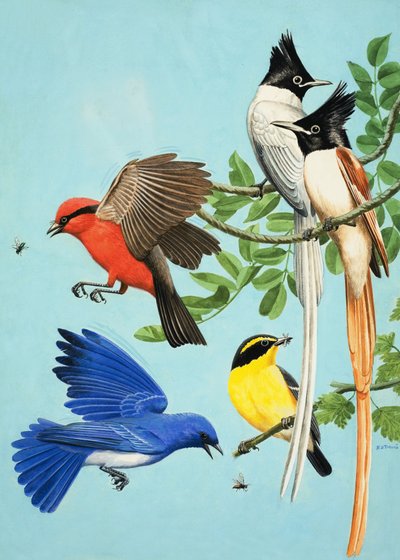  by R.B. Davis