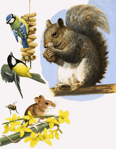  by R.B. Davis