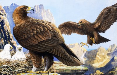  by R.B. Davis