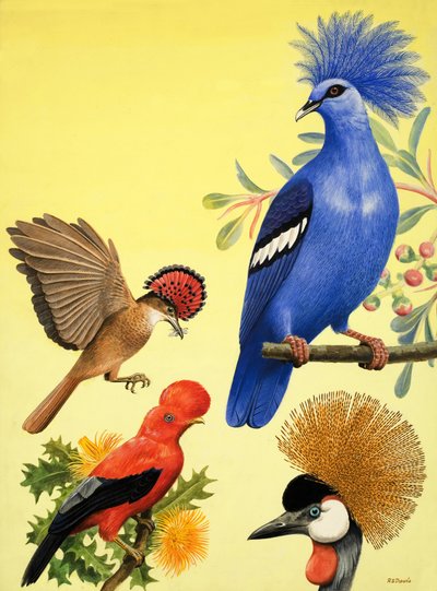  by R.B. Davis