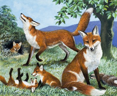  by R.B. Davis