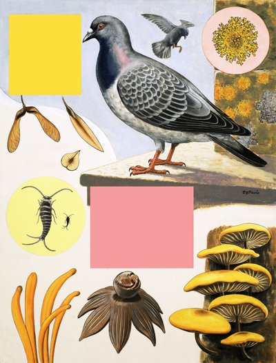  by R.B. Davis