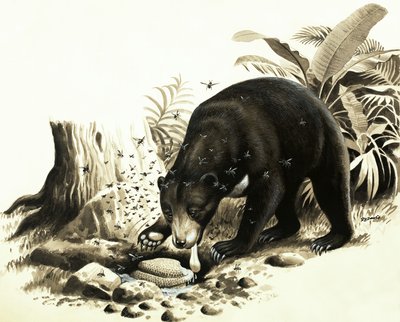  by R.B. Davis