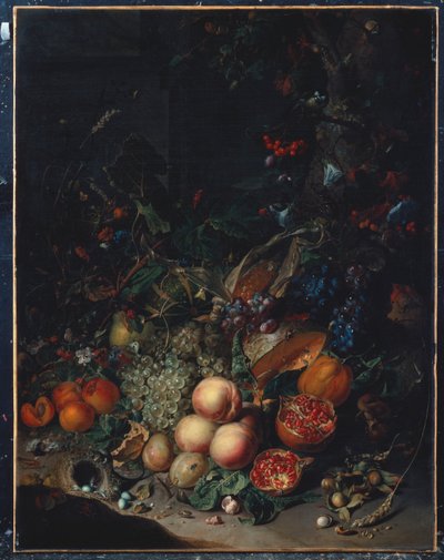 Şeftali, Üzüm, Nar, Kavun, Mısır koçanı, Kayısı, Erik, Armut, Meşe Palamudu, 1718 by Rachel Ruysch