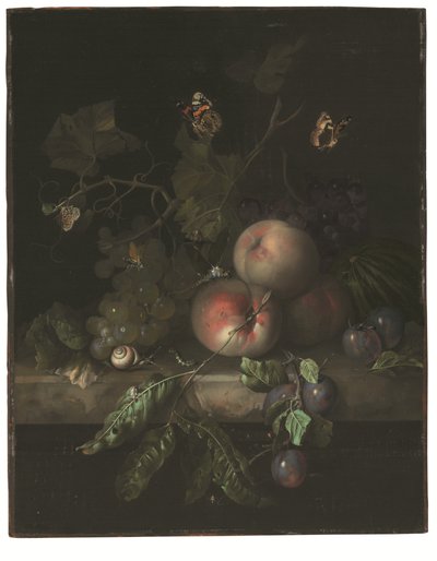  by Rachel Ruysch