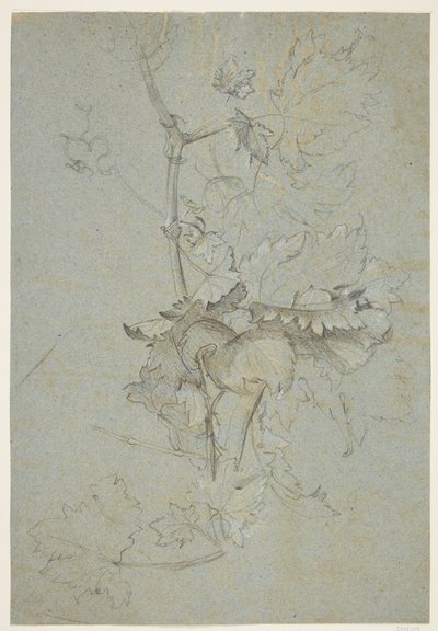 bitki örtüsü by Rachel Ruysch