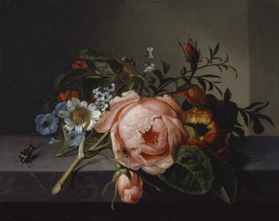 Gül Dalı, Böcek ve Arı ile Natürmort, 1741 (meşe üzerine tuval üzerine yağlı boya) by Rachel Ruysch