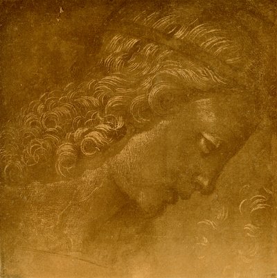 Bir melek kafası üzerinde çalışma by Raffaellino del Garbo