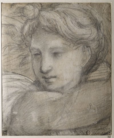 Bir Melek Başkanı, c. 1520 by Raffaello Sanzio Raphael