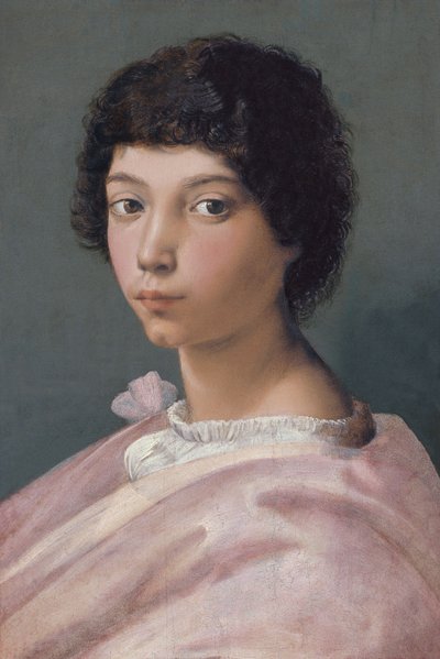 genç bir adam portresi by Raffaello Sanzio Raphael