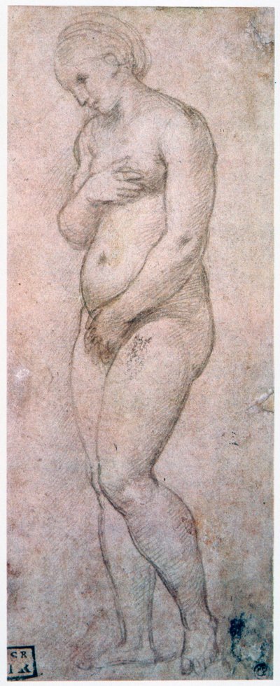Venüs Çalışması, c1500-1520 by Raffaello Sanzio Raphael