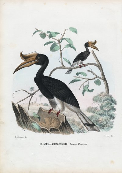 Büyük Boynuzgaga, 1863-79 by Raimundo Petraroja