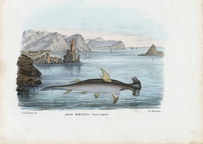 Çekiçbaşı, 1863-79 by Raimundo Petraroja