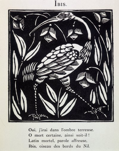 Ibis - Guillaume Apollinaire