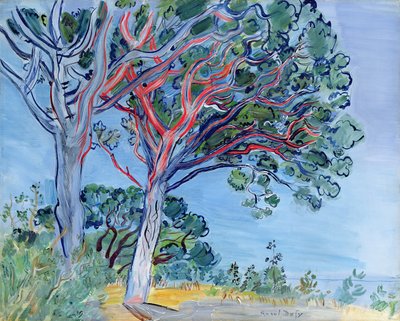 Kızıl Çam by Raoul Dufy