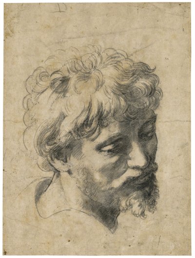""Genç Bir Havarinin Portresi"" (Genç Havarinin Başı) Raphael Tarafından Kağıt Üzerine Karakalem (Raffaello Sanzio) (1483-1520) Özel Koleksiyon by Raphael