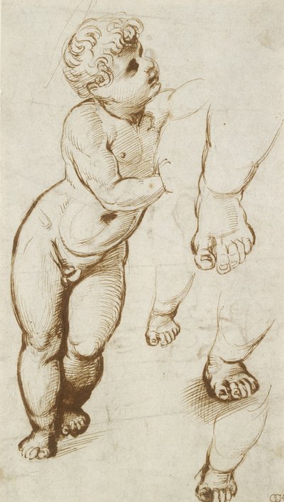 The Infant Christ and other Studies (beyaz kağıt üzerinde, kurşun noktasındaki ön göstergeler üzerine kalem ve koyu kahverengi mürekkep) by Raphael