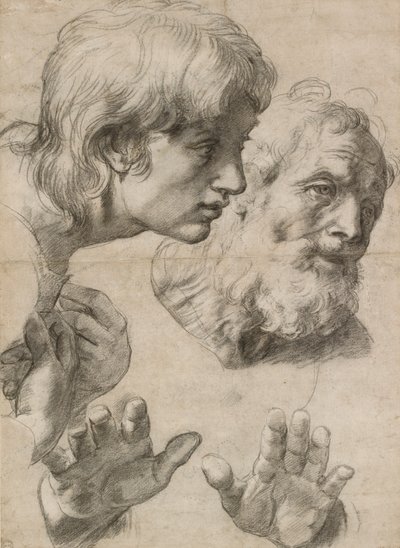 İki Havarinin Başları ve Ellerinin Çalışmaları, 16. yüzyıl by Raphael