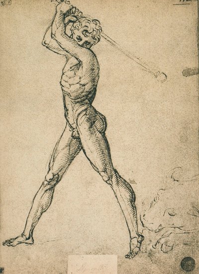 Herkül boğayı öldürür; Raphael