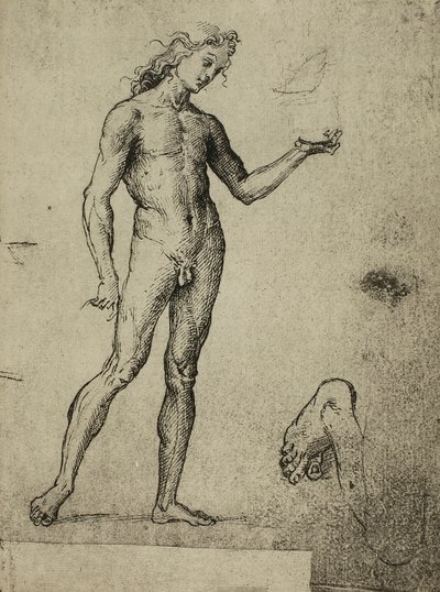 Erkek çıplak çalışma; Raphael