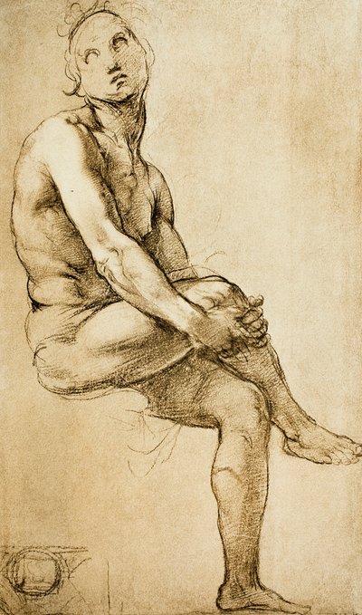 Bir insan figürünün incelenmesi, Raphael