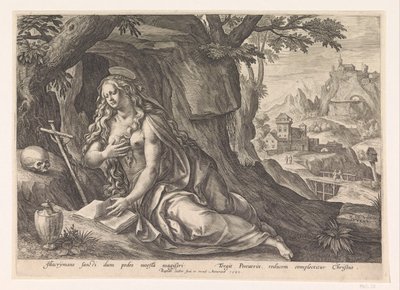 Maria Magdalena de wildernis