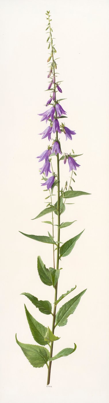  by Raymond Booth
