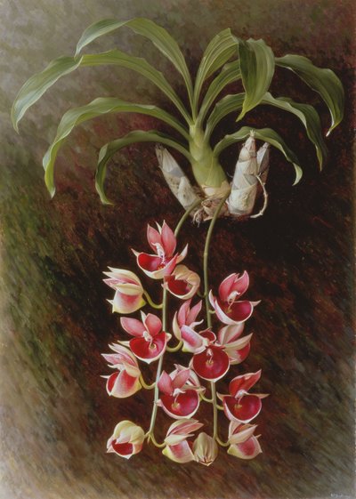  by Raymond Booth