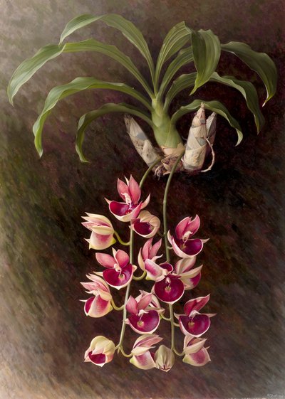  by Raymond Booth