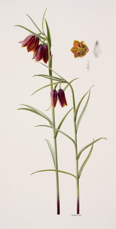 by Raymond Booth