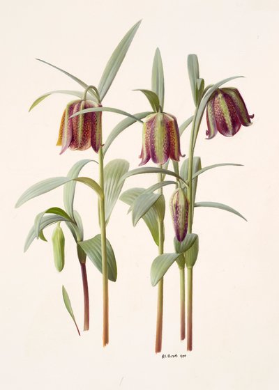  by Raymond Booth