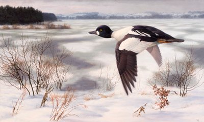  by Raymond Booth
