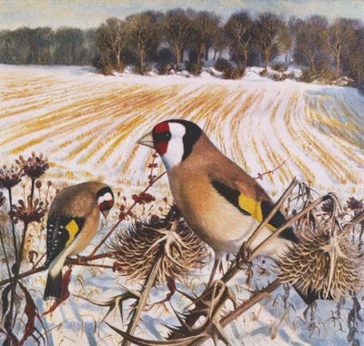  by Raymond Booth