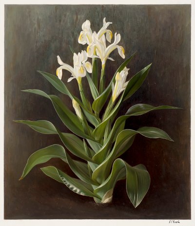 by Raymond Booth