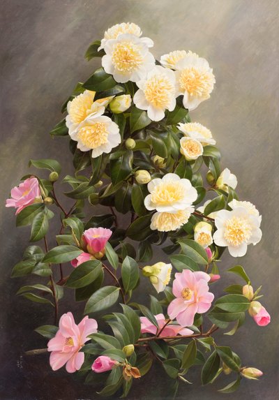 by Raymond Booth