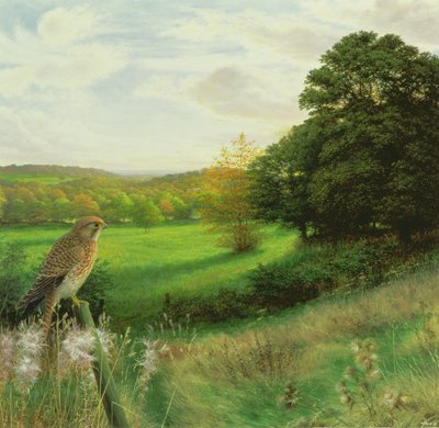 Eylül Sonu Akşamında Kerkenez by Raymond Booth