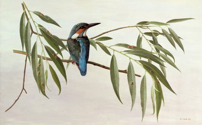  by Raymond Booth