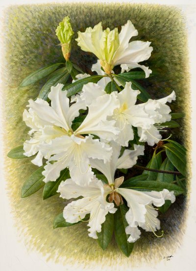  by Raymond Booth