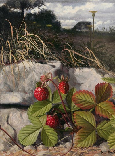 Çilekler (panel üzerine yağlıboya) by Raymond Booth