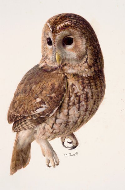  by Raymond Booth