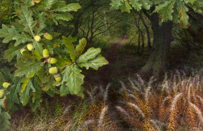  by Raymond Booth