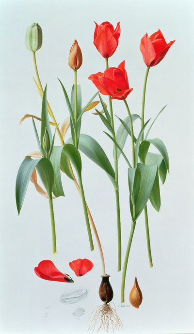  by Raymond Booth