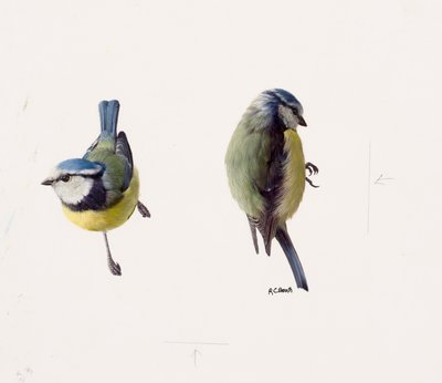  by Raymond Booth