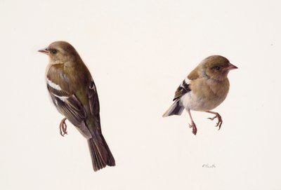  by Raymond Booth