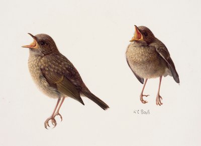  by Raymond Booth