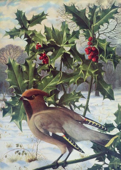  by Raymond Booth