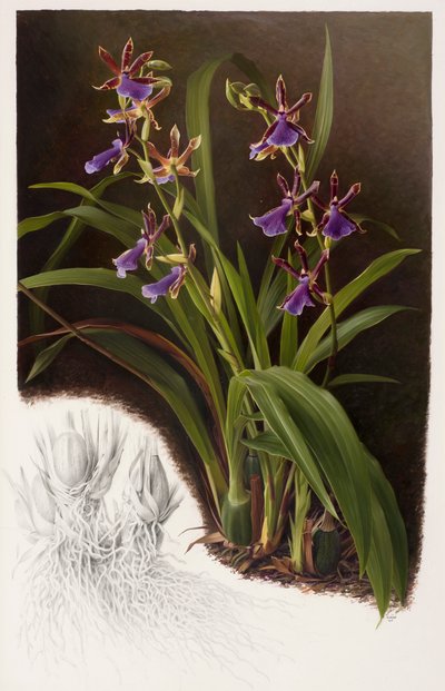  by Raymond Booth
